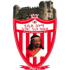 Team logo